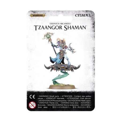 TZEENTCH ARCANITES TZAANGOR SHAMAN